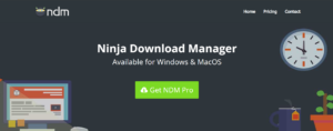 Ninja Download Manager